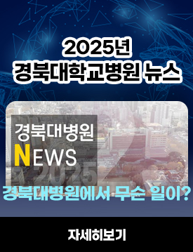 2025년 뉴스